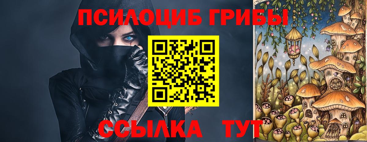 Глазов  Псилоцибиновые грибы мицелий  Вход с VPN 