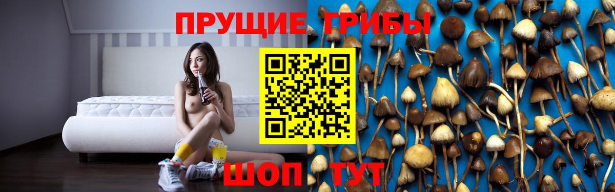Псилоцибиновые грибы мухоморы Глазов